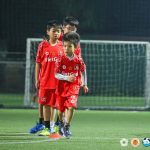 VietGoal Vĩnh Hưng  - Sân Vĩnh Hưng 2 - Chiều ngày 15/11/2025: RÈN LUYỆN TƯ DUY CHIẾN THUẬT TẠI VIETGOAL VĨNH HƯNG