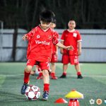 VietGoal Lê Trọng Tấn  - Sân Geleximco - Chiều ngày 07/02/2026: NGÀY CUỐI NĂM ĐẦY ẮP TIẾNG CƯỜI TRÊN SÂN GELEXIMCO